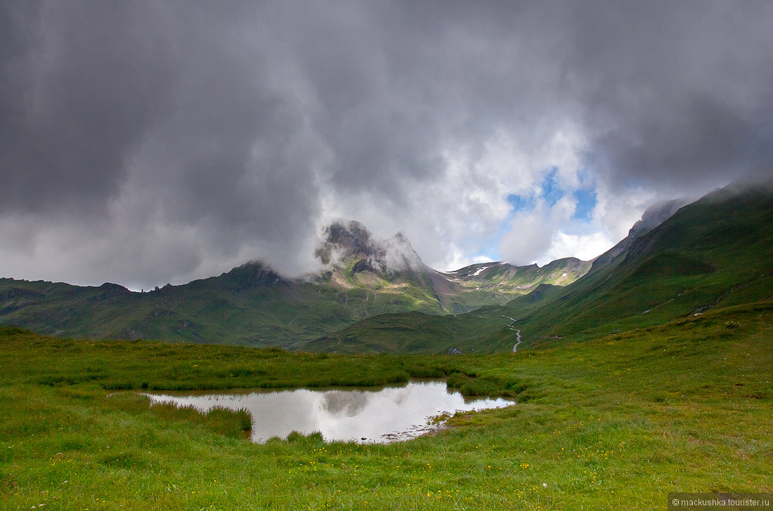 First, Grindelwald